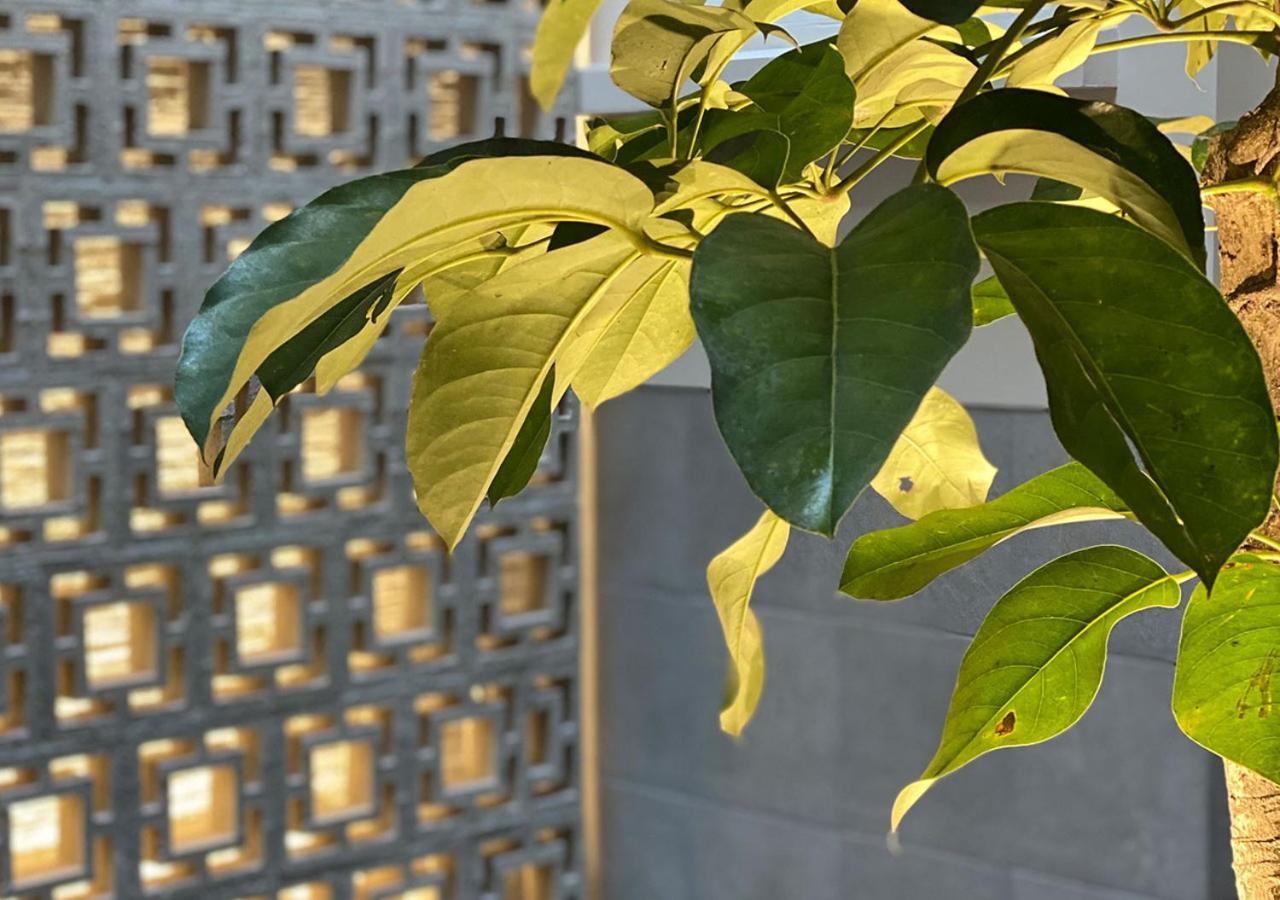 Hotel Mx Zocalo Μεξικό Εξωτερικό φωτογραφία